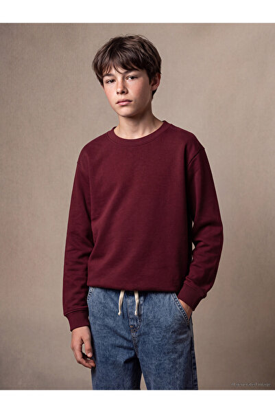 LC Waikiki Two Mt Shop Quality Lcw Kids Burgundy Boys' Thick Sweatshirt