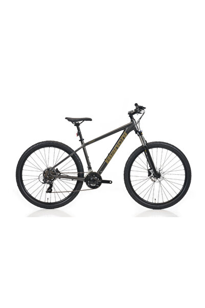 Bianchi MAGMA 27.3 43cm KADRO 27,5 JANT GRİ-BAKIR BİSİKLET