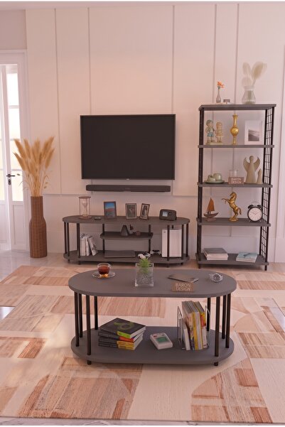 BARIN DESIGN Salon Oturma Odası Takımı Metal Ayaklı Tv Ünitesi Kitaplık Orta ...