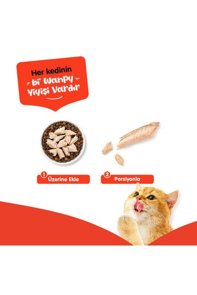 Wanpy Pure Chicken Fillet Tavuk Fileto Kedi Ödülü 25gr
