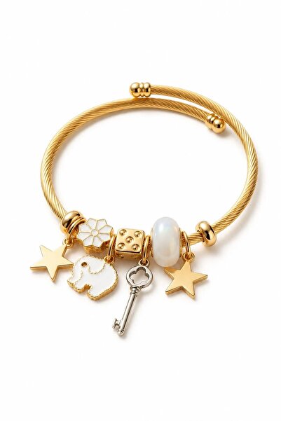 LYKOS Stainless Steel Charm Bracelet with Lucky Elephant and Star Motifs - Twisted Model Women's Jewelry