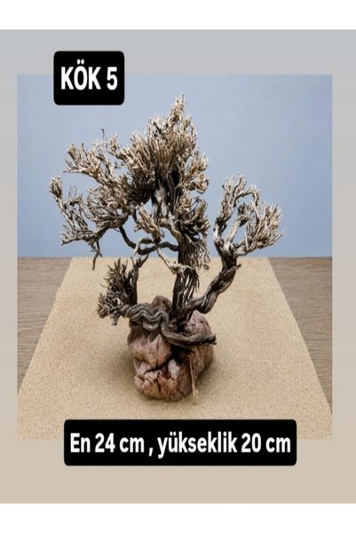 KÖK 5