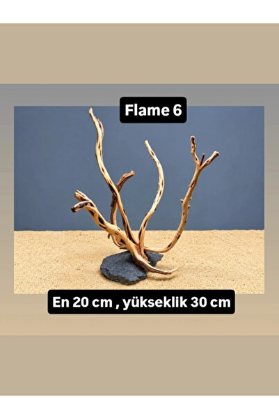 Flamewood 6