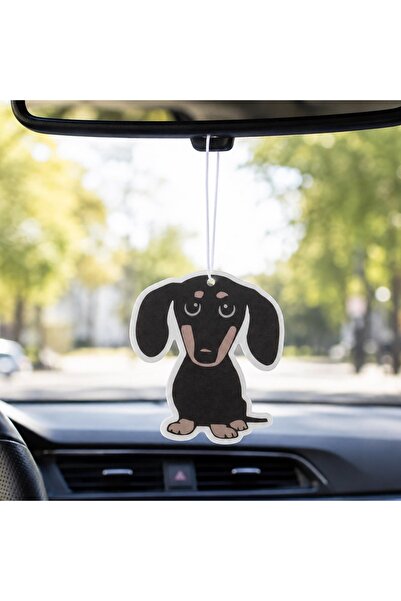 OEM Odorizant Auto Catel cu Aroma Vanilie