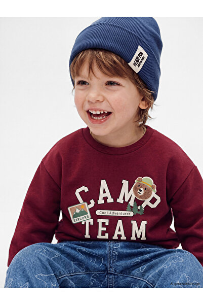 LC Waikiki Özmarka New Season Burgundy Printed Baby Boy Sweatshirt