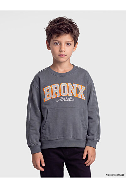 LC Waikiki Vizyon New Season Gray Printed Boys' Sweatshirt