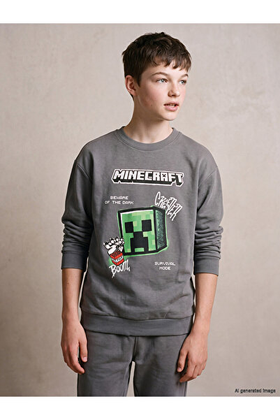 LC Waikiki Peak New Season Gray Crew Neck Printed Boys' Sweatshirt