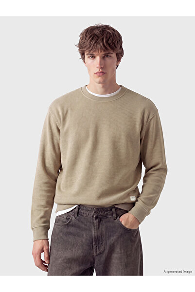 LC Waikiki Özmarka New Season Beige Crew Neck Men's Sweatshirt