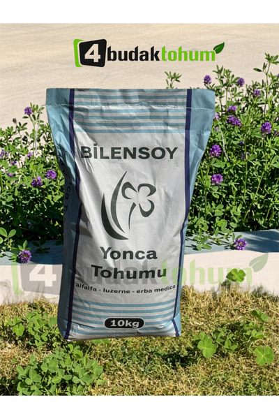Dörtbudak Bilensoy Yonca Tohumu