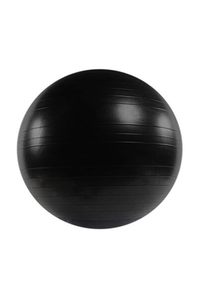 OEM Minge de fitness anti-explozie, pompă inclusă, 55 cm, TheWay Fitness
