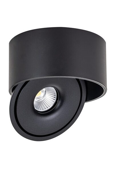 OEM Φωτιστικό LED Εξωτερικού Χώρου Περιστρεφόμενο Στρογγυλό COB Μαύρο 30W με ...