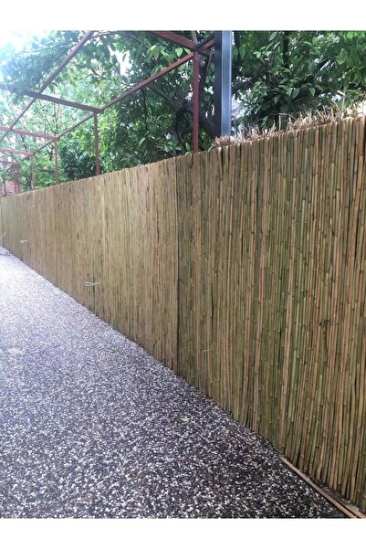 Genel Markalar DOĞAL BAMBU RULO 2X3 ev bahçe çardak çatı çit balkon duvar kap...