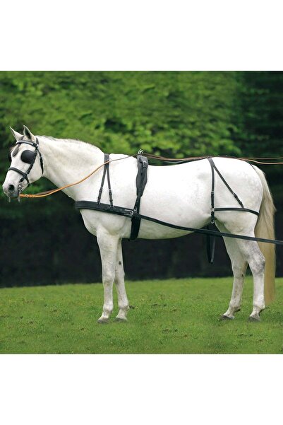 waldhausen Economic Single Horse Harness Set 100% Leather - Black, F
