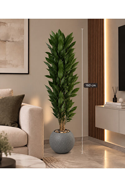 CENTRHOME Three-Branch Tree of Ghar Tree, 160 cm Long