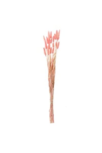 OEM Ramuri Decorative Coada Iepurelui Bunny Tails Roz 60cm - Crengi, Decorati...