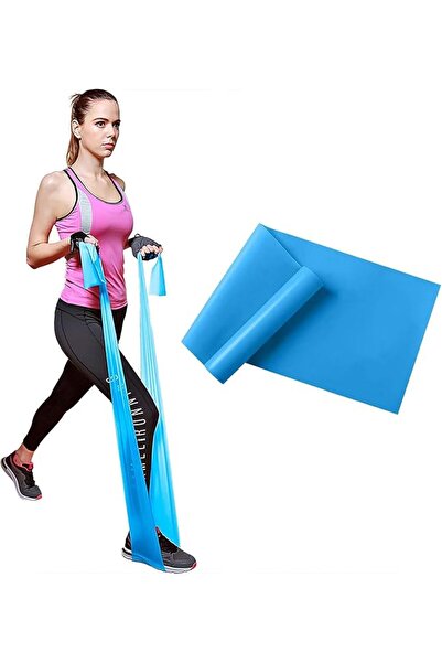 GENERAL Tulle House Resistance Bands, Exercise Bands, Workout Bands for Legs ...