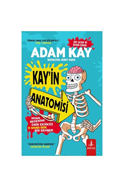 Büyülü Fener Kay’in Anatomisi