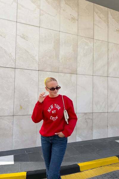 lizge giyim Crew Neck Sweatshirt with Print and Embroidery Detail