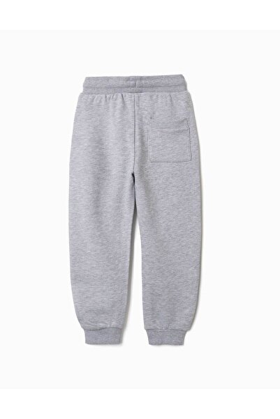 Ziddy Fleece Joggers With Drawstring And Pockets For Boys, Light Grey
