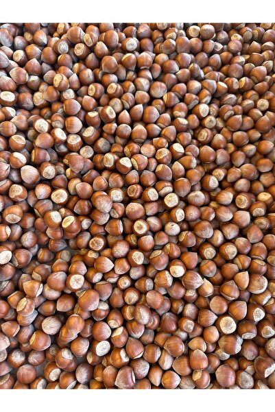 Kabuklu Fındık 1 KG