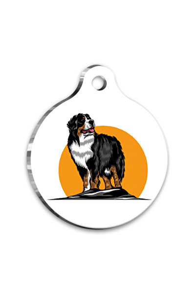 Pet Tag Art Qr-Ecs107-M