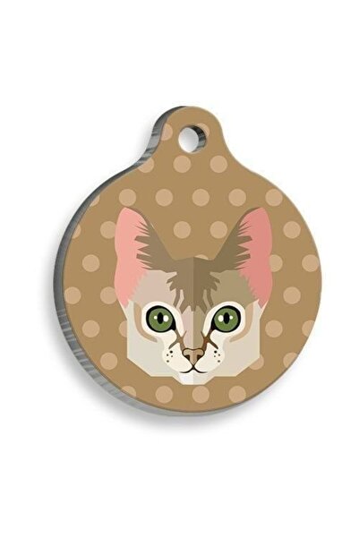 Pet Tag Art Qr-Ld00375-M