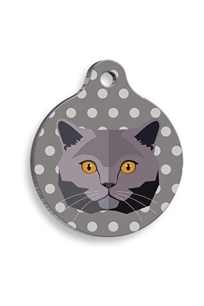 Pet Tag Art Qr-Ld00366-M