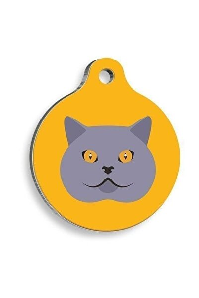 Pet Tag Art Qr-Ld00360-M