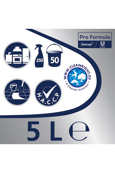 Cif Professional Degresant Puternic 750ml & Professional Degresant Puternic Concentrat 5L + 1 set lavete Fine cadou