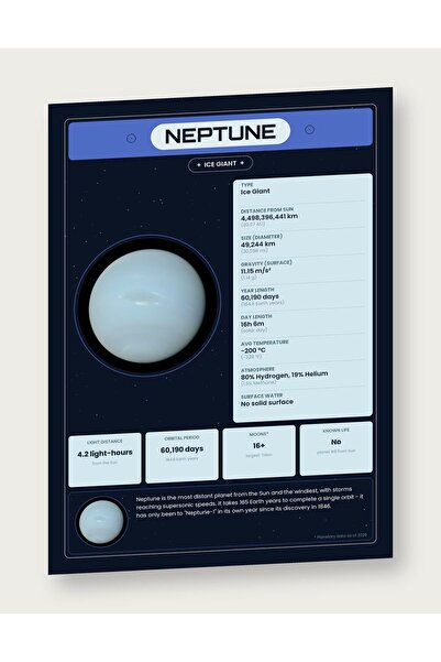 OEM Poster Infografic Planeta Neptun, Sistemul Solar Educational, Carton 250g...