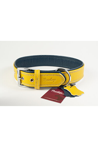 Privilege Flotter Hakiki Deri Köpek Boyun Tasması Xxs Sarı Lacivert 2,5x22-30 Cm