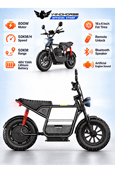 Wind Horse D1 Electric Bike for Adults, 800W Motor (1500W Peak Power), 50KM/H...