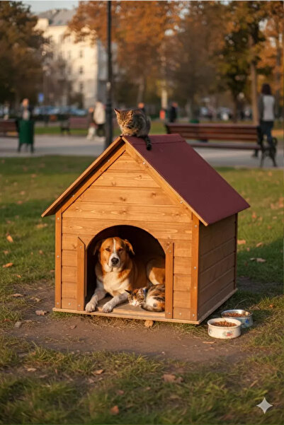 Suya Soğuğa Dayanıklı Lüks Büyük Boy Köpek Kulubesi Sokak Köpek Evi Kırmızı