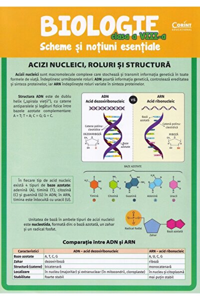 Corint Biologie - Clasa 8 - Scheme si notiuni esentiale - Silvia Olteanu, Cam...
