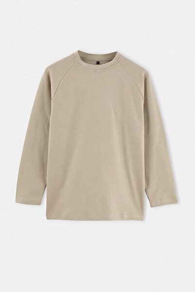 Trendyol Collection Stone Regular/Normal Cut Bird Embroidered Crew Neck Ragla...
