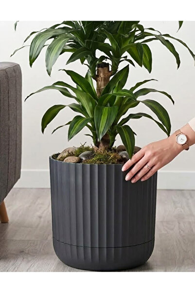 TEMMUZ HOME 11 L Tabaklı Büyük Boy Plastik Çiçeklik - Salon & Ofis Dekoratif Saksı