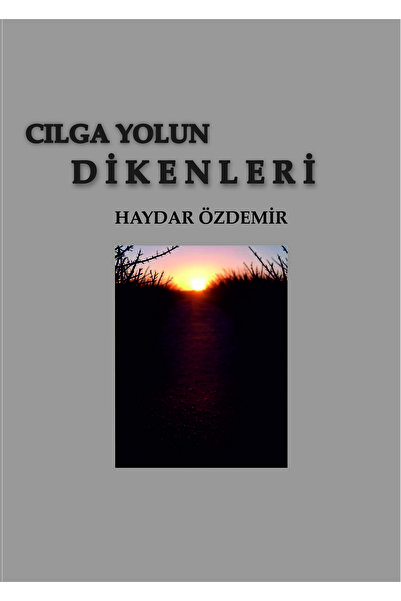 Kızılırmak Yayınları Cılga Yolun Dikenleri - Haydar Özdemir 208 sayfa - Türkç...