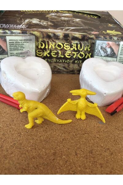 AZİZ OYUNCAK 💜 💚   Double Heart-Shaped Dinosaur Excavation Kit |   Educational Activity Set |   Children's Activity