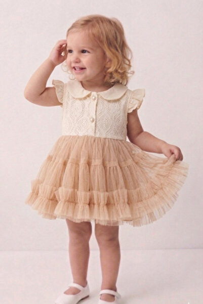 Rocha Baby Baby Girl Tulle Guipure Dress Stylish Party and Birthday Dress