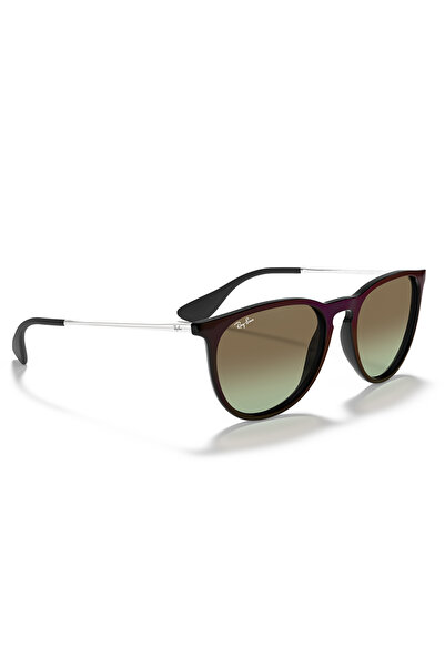 Ray-Ban Rayban Güneş Gözlüğü RB4171 (Erika) 6316/E8