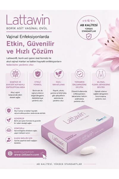Donemed Lattawın 7 Ovül