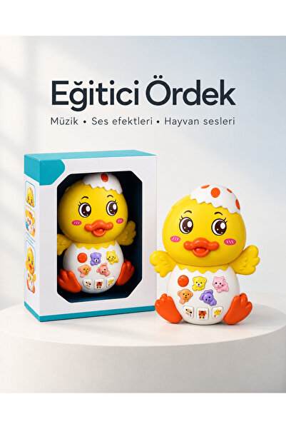 Ucuzuna Bak Eğitici Ördek - Hayvan Sesleri – 4 Farklı Melodi – Işık Efekti – ...