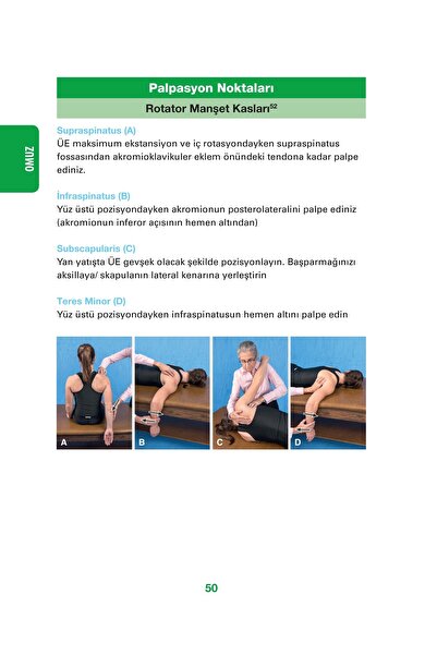Hipokrat Kitabevi Ortopedi Notları