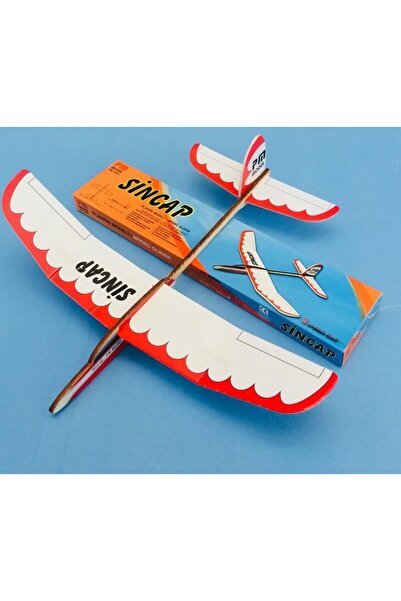 PM Model 1004 Sıncap Planör, Çubuk Gövdeli, Demonte Serbest Uçuş Modeli