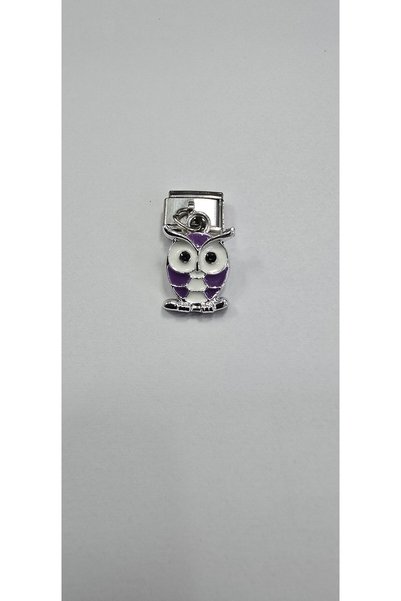 ahsenaksesuar2025 Select & Combine) Buy 3 Get 2 Lila Owl Italian Bracelet Compatible Charms 316L
