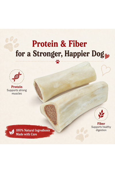 Petrix Filled Bone Dog Chew Treat (4 Inch, 2 Pcs)