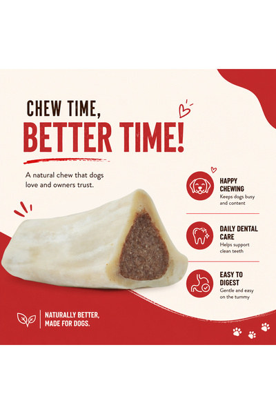 Petrix Filled Bone Dog Chew Treat (4 Inch, 2 Pcs)