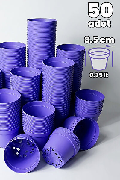 Tekpar Kaktüs ve Sukulent Saksısı Bol Drenaj Delikli 8.5 cm çap Lila 50