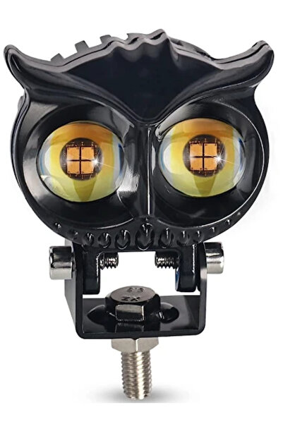Ruan Proiector LED auto cu 2 FAZE putere 30W 6000K model bufnita