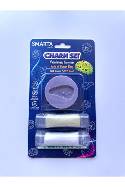 Smarta Charm Set Let's Get to Know Our Body – Liver DIY Training Kit